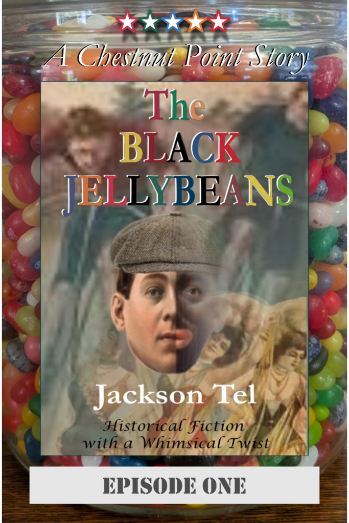 The Chestnut Point Stories Bookcase